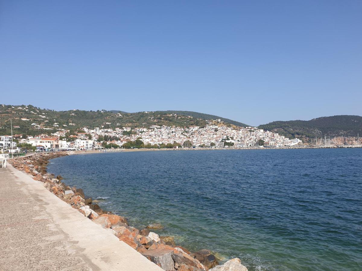 Lovely One-Bedroom Flat In Skopelos المظهر الخارجي الصورة